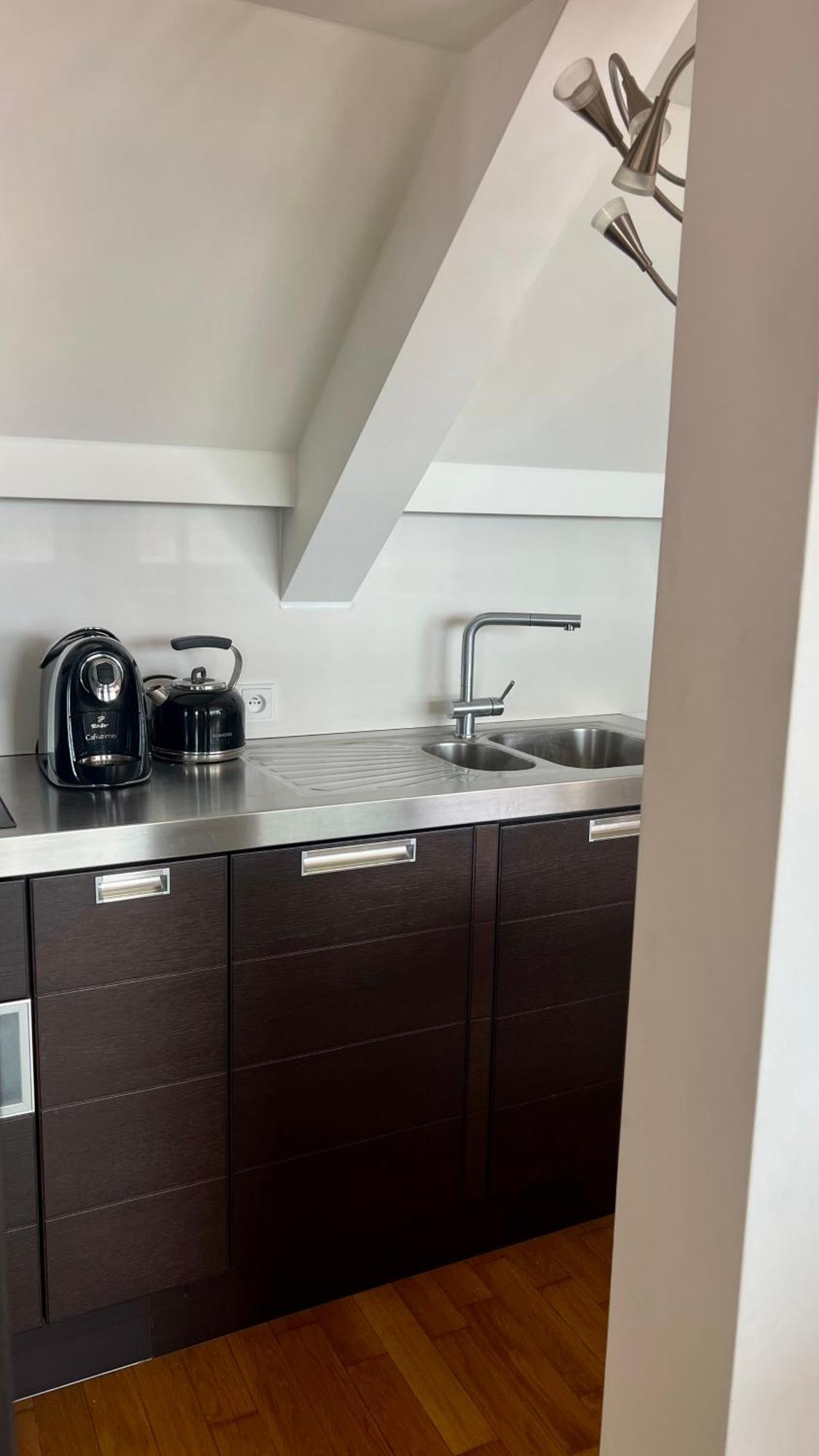 Apartman Se Saunou A Terasou S Vyhledem Na 布尔诺 外观 照片