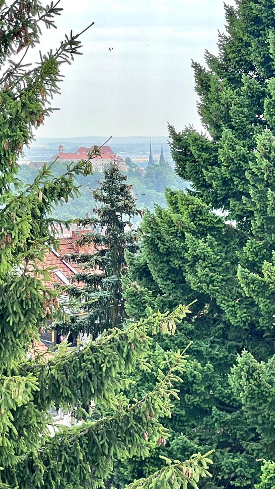 Apartman Se Saunou A Terasou S Vyhledem Na 布尔诺 外观 照片