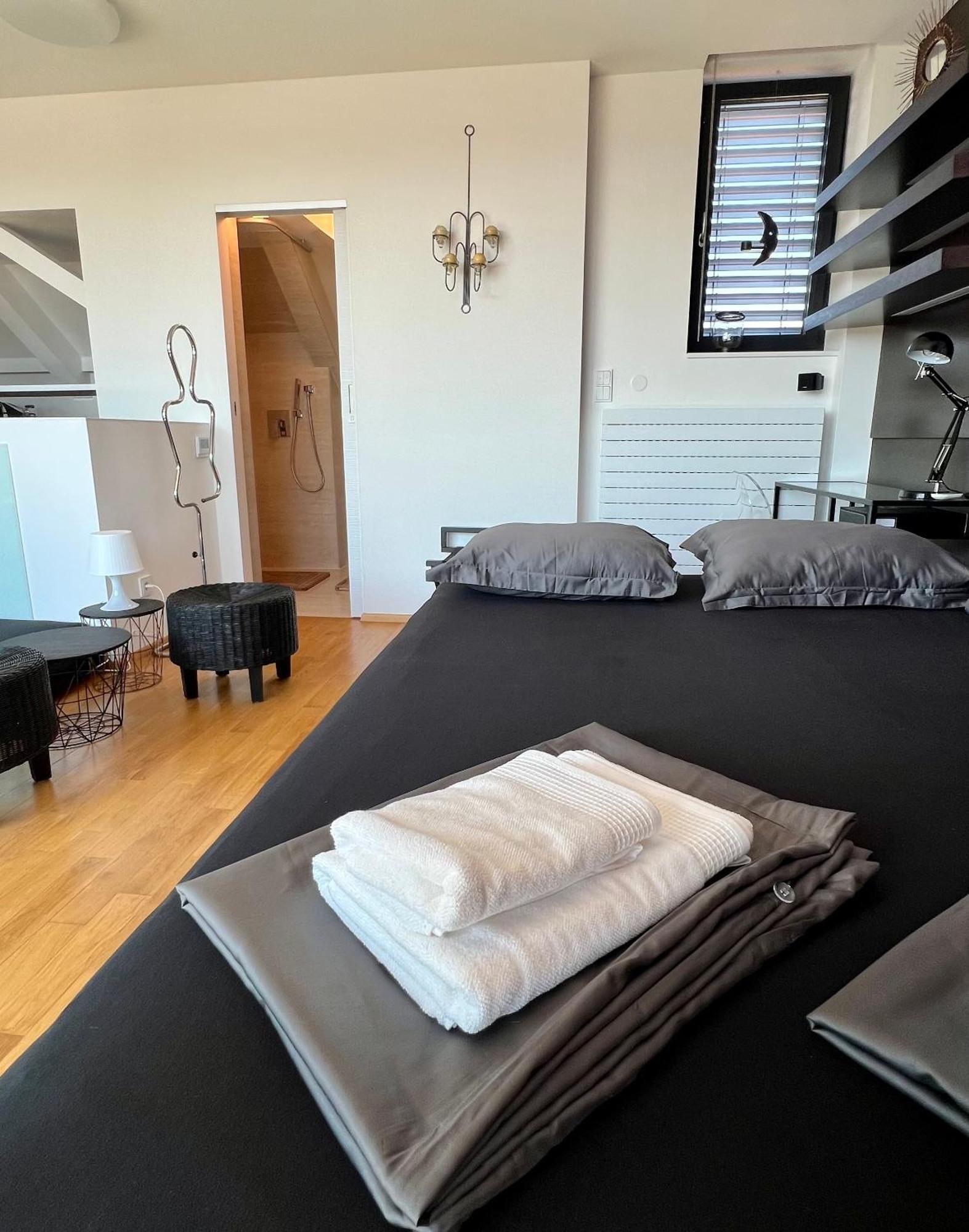 Apartman Se Saunou A Terasou S Vyhledem Na 布尔诺 外观 照片
